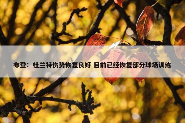 布登：杜兰特伤势恢复良好 目前已经恢复部分球场训练