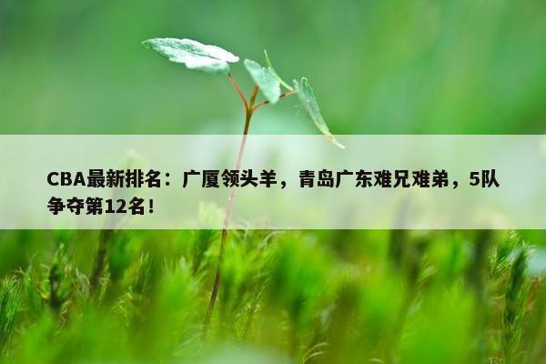 CBA最新排名：广厦领头羊，青岛广东难兄难弟，5队争夺第12名！