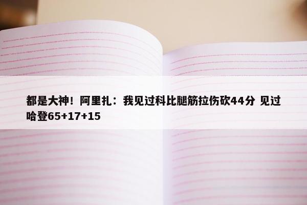 都是大神！阿里扎：我见过科比腿筋拉伤砍44分 见过哈登65+17+15