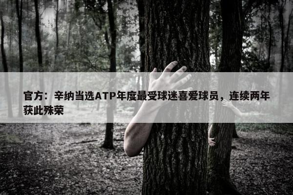 官方：辛纳当选ATP年度最受球迷喜爱球员，连续两年获此殊荣