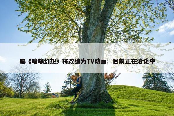 曝《暗喻幻想》将改编为TV动画：目前正在洽谈中