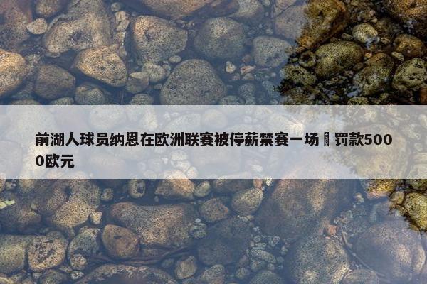 前湖人球员纳恩在欧洲联赛被停薪禁赛一场️罚款5000欧元