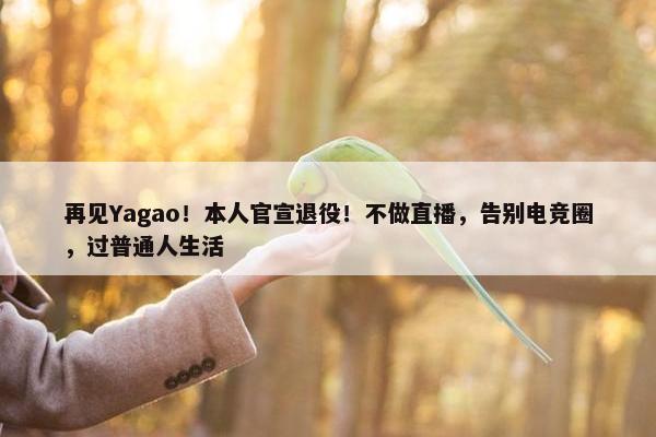 再见Yagao！本人官宣退役！不做直播，告别电竞圈，过普通人生活