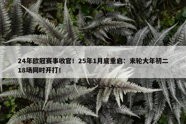 24年欧冠赛事收官！25年1月底重启：末轮大年初二18场同时开打！