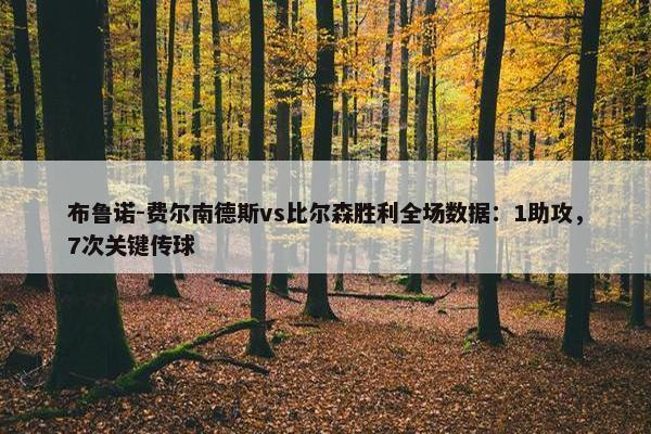 布鲁诺-费尔南德斯vs比尔森胜利全场数据：1助攻，7次关键传球