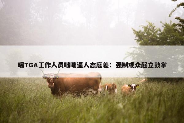 曝TGA工作人员咄咄逼人态度差：强制观众起立鼓掌