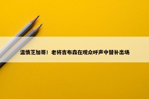 温情芝加哥！老将吉布森在观众呼声中替补出场