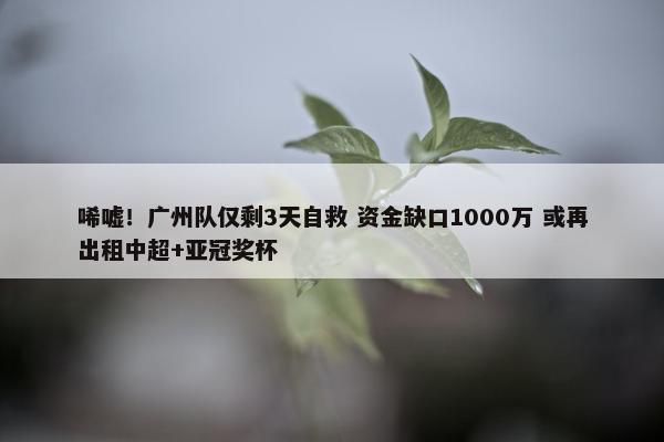 唏嘘！广州队仅剩3天自救 资金缺口1000万 或再出租中超+亚冠奖杯