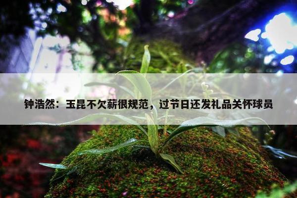 钟浩然：玉昆不欠薪很规范，过节日还发礼品关怀球员