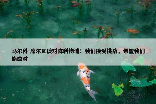 马尔科-席尔瓦谈对阵利物浦：我们接受挑战，希望我们能应对