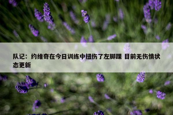 队记：约维奇在今日训练中扭伤了左脚踝 目前无伤情状态更新