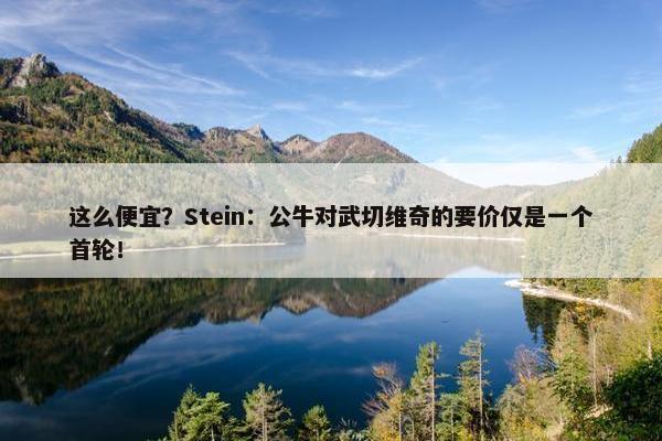 这么便宜？Stein：公牛对武切维奇的要价仅是一个首轮！