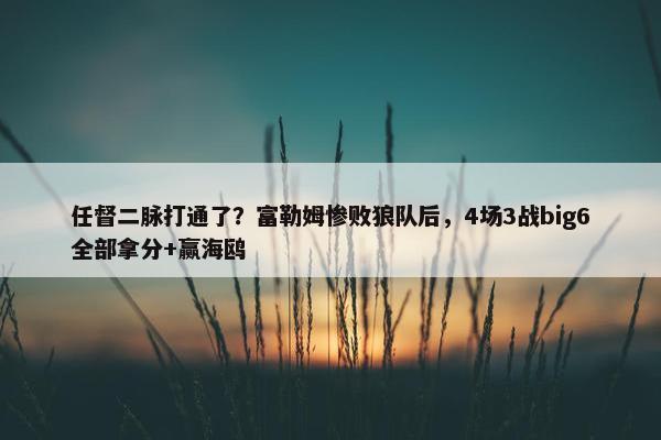 任督二脉打通了？富勒姆惨败狼队后，4场3战big6全部拿分+赢海鸥