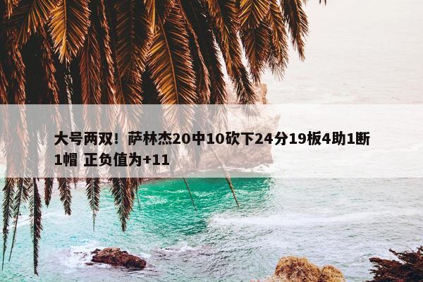 大号两双！萨林杰20中10砍下24分19板4助1断1帽 正负值为+11