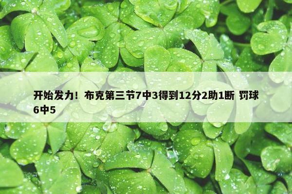 开始发力！布克第三节7中3得到12分2助1断 罚球6中5