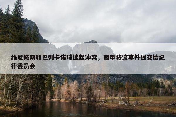 维尼修斯和巴列卡诺球迷起冲突，西甲将该事件提交给纪律委员会