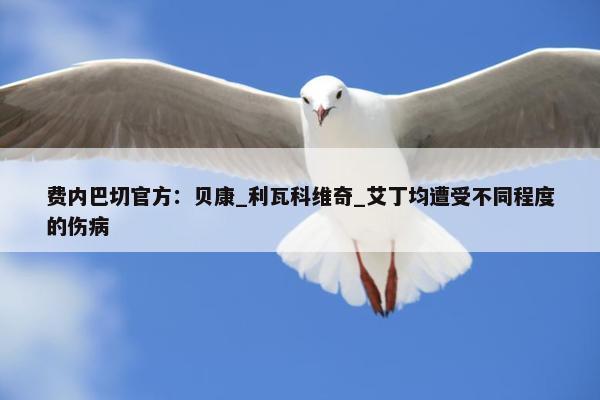 费内巴切官方：贝康_利瓦科维奇_艾丁均遭受不同程度的伤病