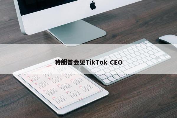 特朗普会见TikTok CEO