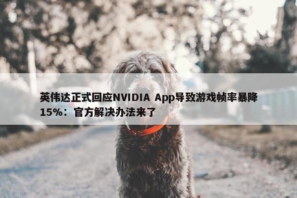 英伟达正式回应NVIDIA App导致游戏帧率暴降15%：官方解决办法来了