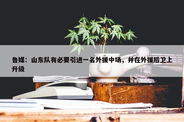 鲁媒：山东队有必要引进一名外援中场，并在外援后卫上升级