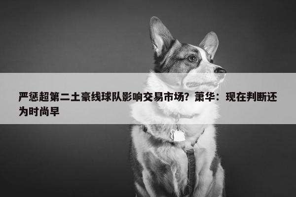 严惩超第二土豪线球队影响交易市场？萧华：现在判断还为时尚早