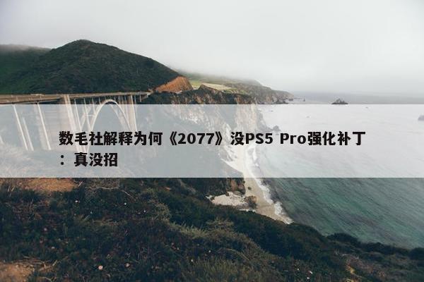 数毛社解释为何《2077》没PS5 Pro强化补丁：真没招