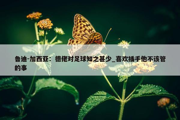 鲁迪-加西亚：德佬对足球知之甚少_喜欢插手他不该管的事