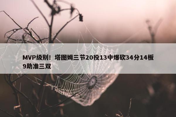 MVP级别！塔图姆三节20投13中爆砍34分14板9助准三双