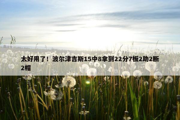 太好用了！波尔津吉斯15中8拿到22分7板2助2断2帽