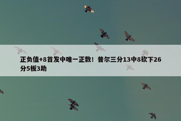 正负值+8首发中唯一正数！普尔三分13中8砍下26分5板3助