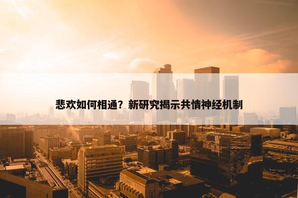 悲欢如何相通？新研究揭示共情神经机制