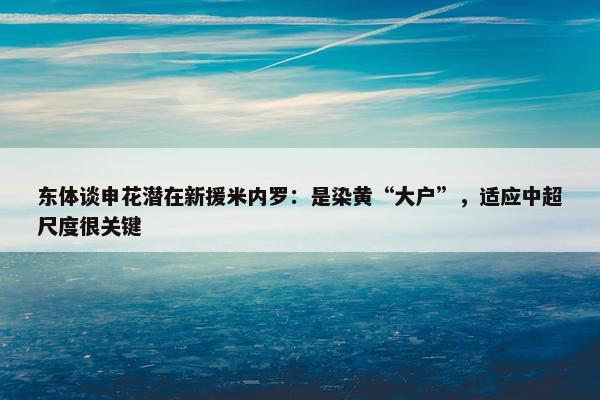 东体谈申花潜在新援米内罗：是染黄“大户”，适应中超尺度很关键