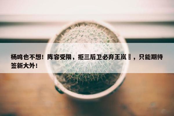 杨鸣也不想！阵容受限，拒三后卫必弃王岚嵚，只能期待签新大外！