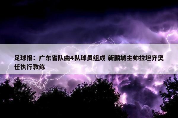 足球报：广东省队由4队球员组成 新鹏城主帅拉坦齐奥任执行教练