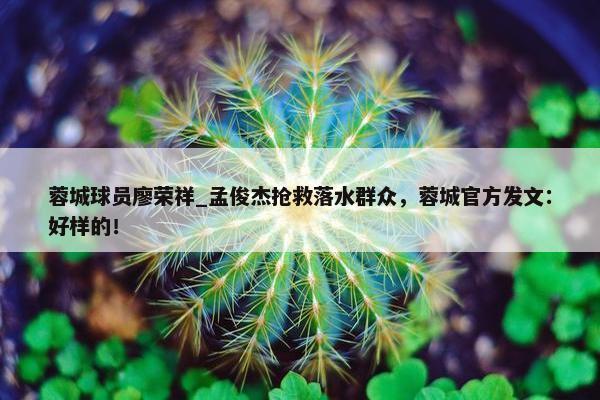 蓉城球员廖荣祥_孟俊杰抢救落水群众，蓉城官方发文：好样的！