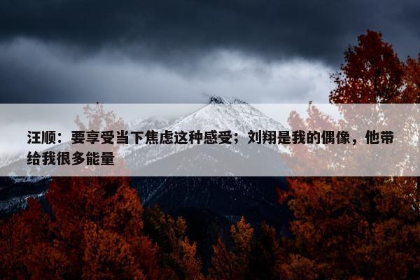 汪顺：要享受当下焦虑这种感受；刘翔是我的偶像，他带给我很多能量