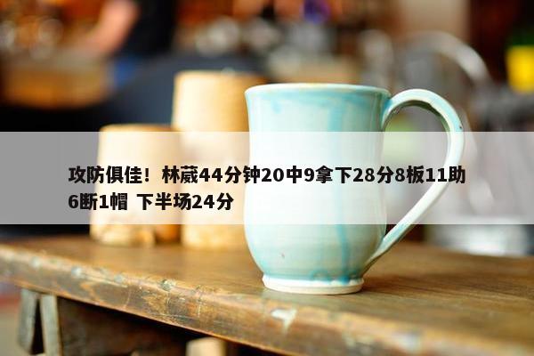 攻防俱佳！林葳44分钟20中9拿下28分8板11助6断1帽 下半场24分