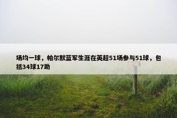 场均一球，帕尔默蓝军生涯在英超51场参与51球，包括34球17助