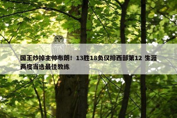 国王炒掉主帅布朗！13胜18负仅排西部第12 生涯两度当选最佳教练