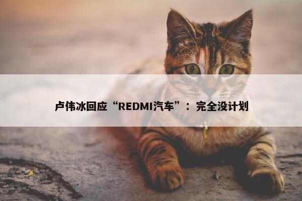 卢伟冰回应“REDMI汽车”：完全没计划