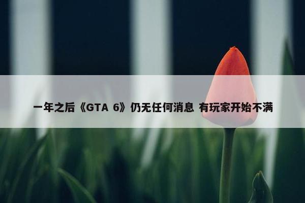 一年之后《GTA 6》仍无任何消息 有玩家开始不满