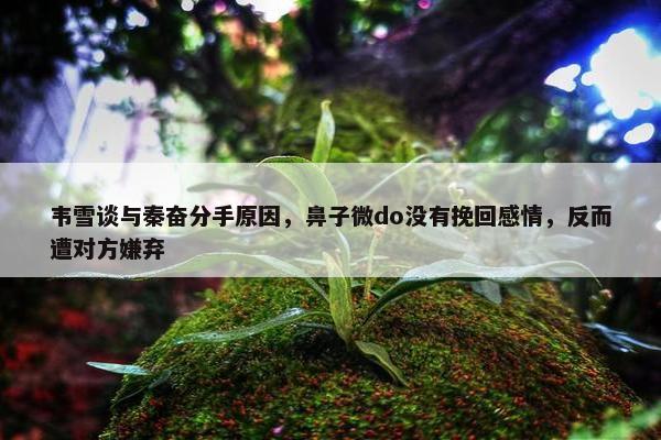 韦雪谈与秦奋分手原因，鼻子微do没有挽回感情，反而遭对方嫌弃