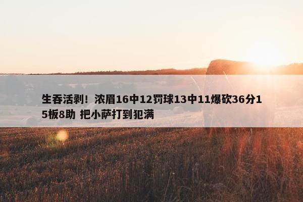 生吞活剥！浓眉16中12罚球13中11爆砍36分15板8助 把小萨打到犯满