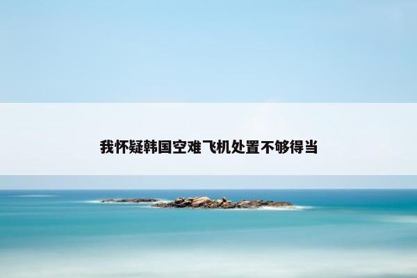 我怀疑韩国空难飞机处置不够得当