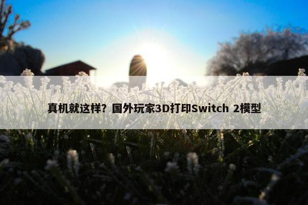 真机就这样？国外玩家3D打印Switch 2模型