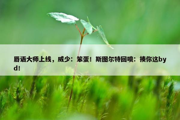 唇语大师上线，威少：笨蛋！斯图尔特回喷：揍你这byd！