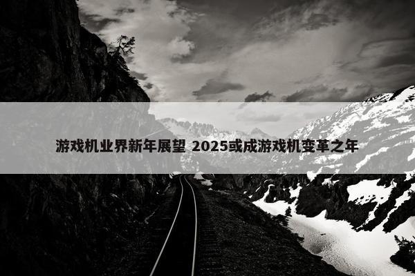 游戏机业界新年展望 2025或成游戏机变革之年