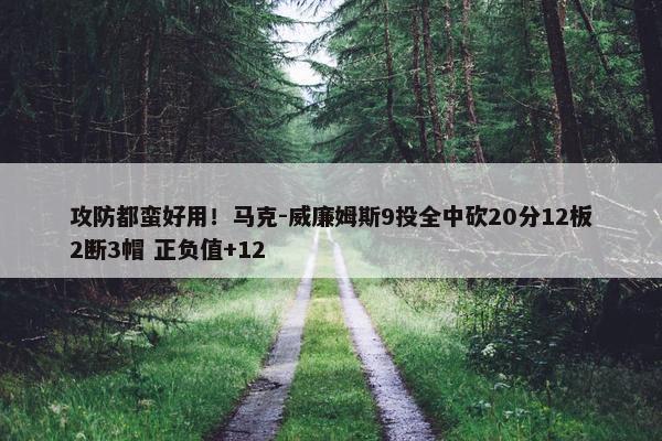 攻防都蛮好用！马克-威廉姆斯9投全中砍20分12板2断3帽 正负值+12