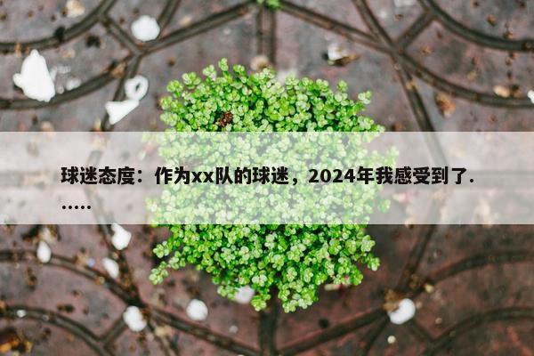 球迷态度：作为xx队的球迷，2024年我感受到了......