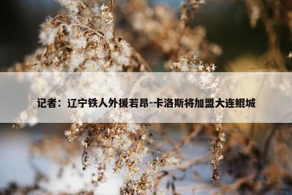 记者：辽宁铁人外援若昂-卡洛斯将加盟大连鲲城